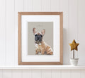 GMA Pet Portrait