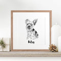 Pet Portrait Sketch