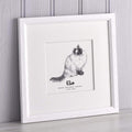 letterfest illustration Pet Portrait Sketch