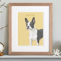 GMA Pet Portrait