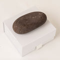 Personalized Pet Pebble with Paw Print