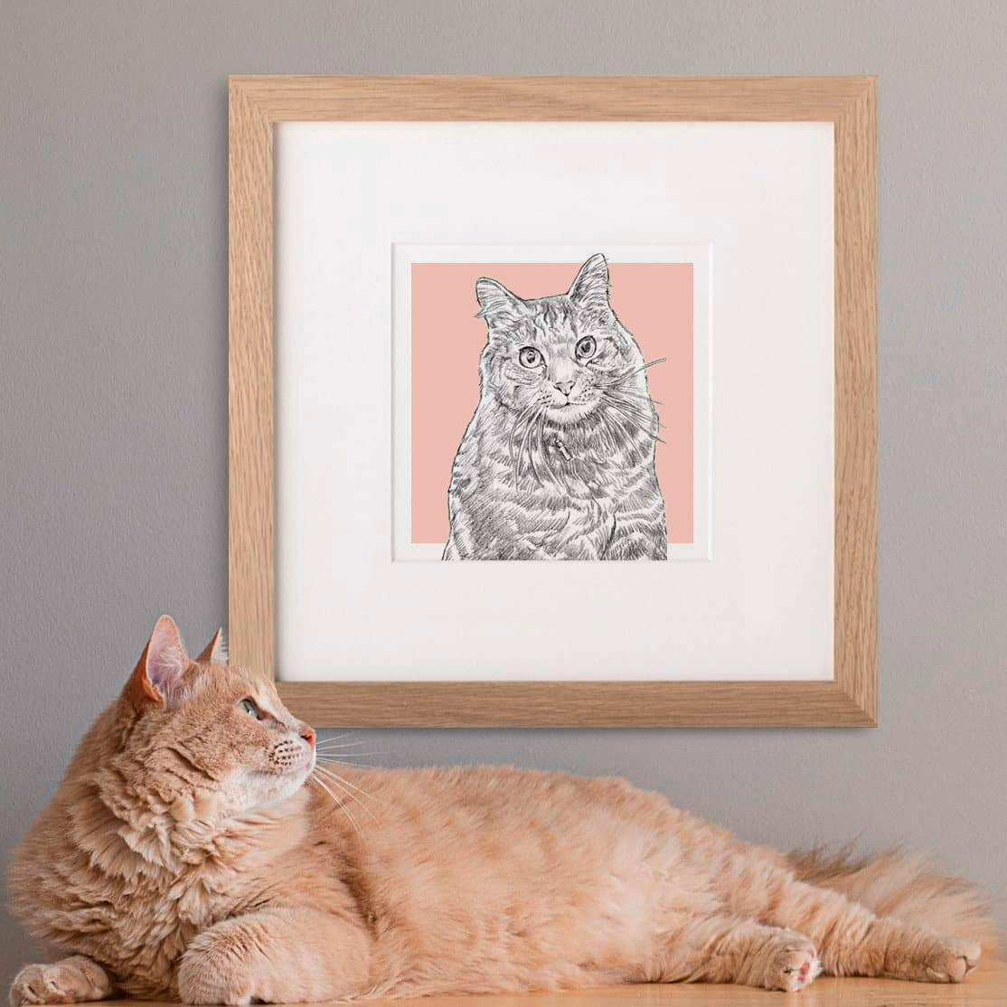 letterfest illustration Bespoke Cat Illustration