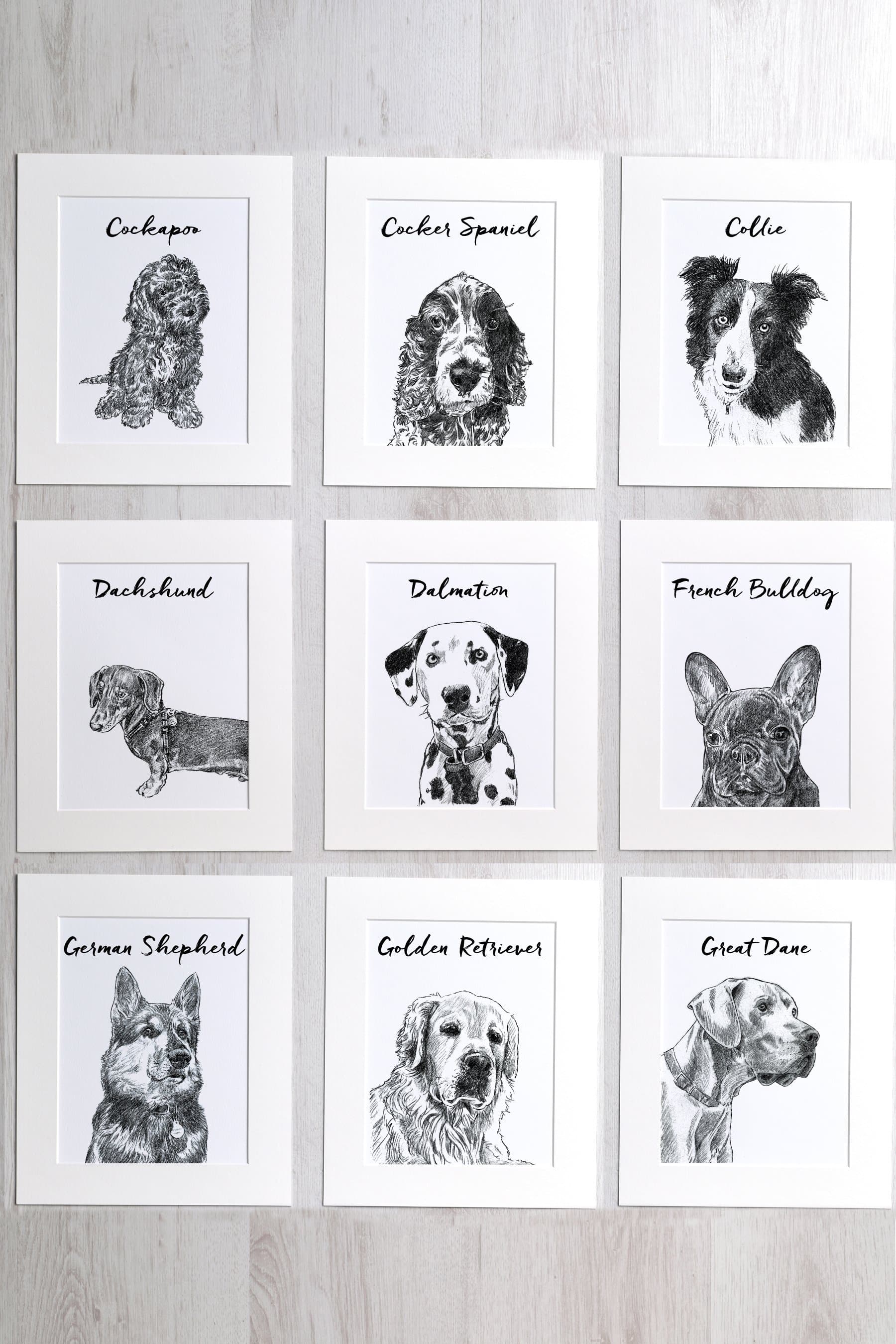 letterfest illustration Favourite Dog Print