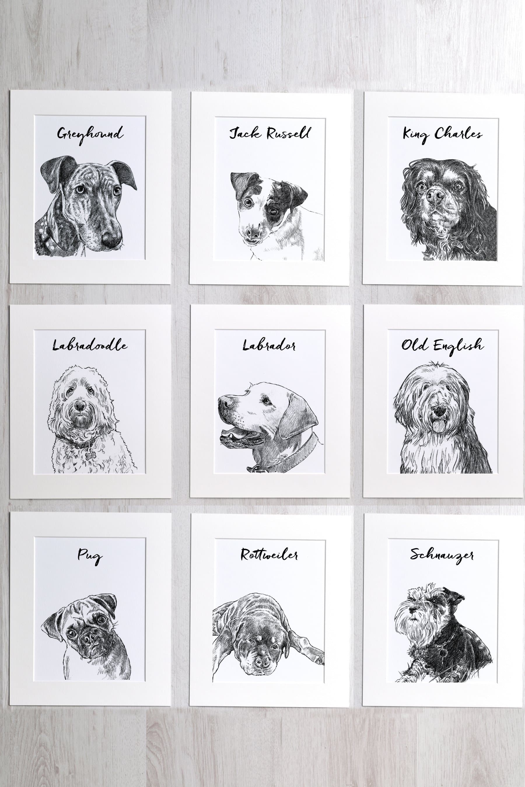 letterfest illustration Favourite Dog Print