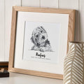 letterfest illustration Pet Portrait Sketch
