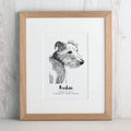 letterfest illustration Pet Portrait Sketch