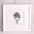 letterfest illustration Pet Portrait Sketch